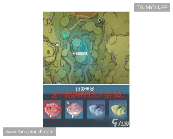 结合K8捕鱼图的实战经验分享提升技巧让你在激烈竞争中脱颖而出